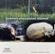 Finnland Euromünzen Kursmünzensatz - Bedrohte Tierarten 2023 - © Michail