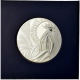 Frankreich 100 Euro Silber Münze - Gallischer Hahn 2015 - © NumisCorner.com