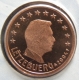 Luxemburg 1 Cent Münze 2004 -  © eurocollection