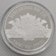Vatikan 5 Euro Silber Münze Seligsprechung von Papst Johannes Paul II. 2011 - © Kultgoalie