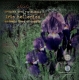 Griechenland 5 Euro Silbermünze - Umwelt - Endemische Flora - Iris Hellenica 2020 - © elpareuro