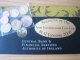 Irland Euro Münzen Kursmünzensatz Coin Fair in Dublin 2008 - © MDS-Logistik