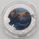Österreich 3 Euro Münze - Leuchtende Meereswelten - Leuchtgarnele 2023 - © Kultgoalie