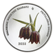 Griechenland 5 Euro Silbermünze - Umwelt - Endemische Flora - Fritillaria Davisii 2023 - © Bank of Greece