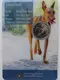 Malta 2 Euro Münze - Einheimische Arten - Il-Kelb tal-Fenek - Der Pharaonenhund 2026 - Coincard - © Münzenhandel Renger