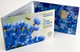 Estland 2 Euro Münze - Estnische Nationalblume - Kornblume - Centaurea Cyanus 2024 - Coincard - © Michail